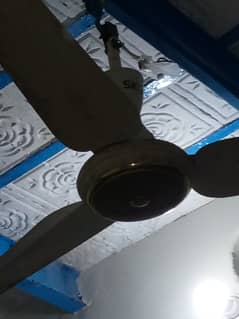 Celling fan