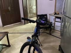 Ottava bicycle for sale