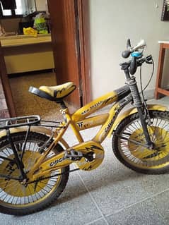 RS15,000 BICYCLE IMPORTED for sale | BOTTLE, HORN INCLUDED