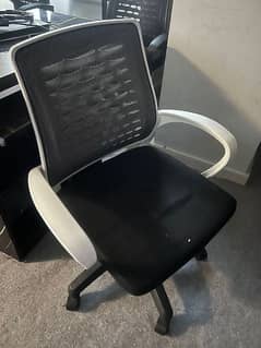 imported chair