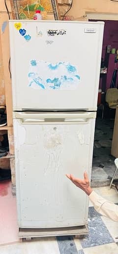 fridge orient