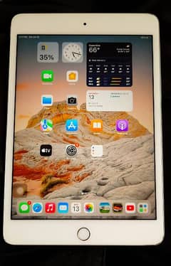 iPad Mini 4 32gb Limited Edition With Box