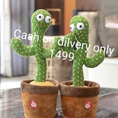 cactus toy for kid with cash on dilvery prise only 1499