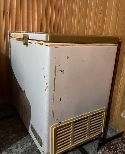 Single Door D-Freezer 3