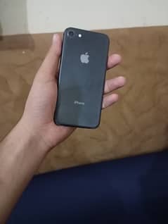 iPhone 8 PTA approved