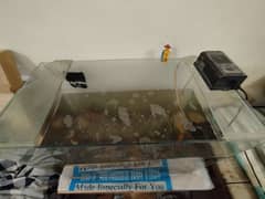 fish aquarium for sale