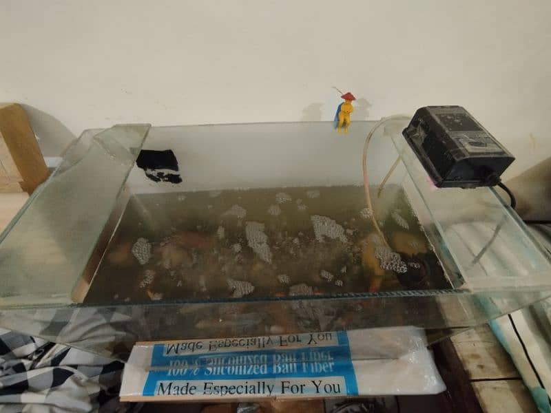 fish aquarium for sale 0