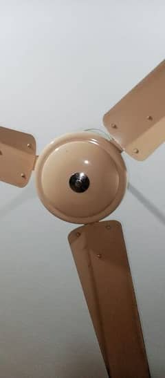 Kausar Celling Fan For Sale 03007440233 0