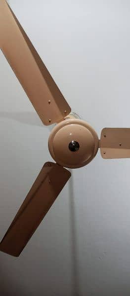 Kausar Celling Fan For Sale 03007440233 1