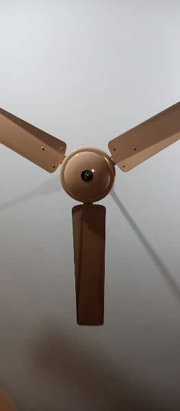 Kausar Celling Fan For Sale 03007440233 2