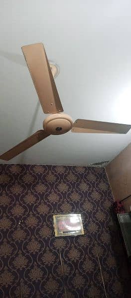 Kausar Celling Fan For Sale 03007440233 4