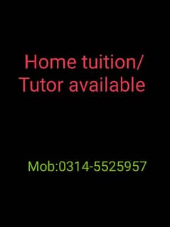 mathematics or physics home tuition Tutor available