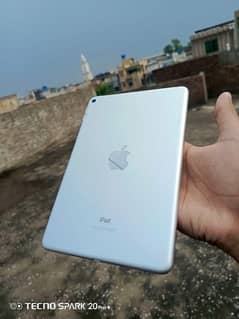 IPad mini 5 0