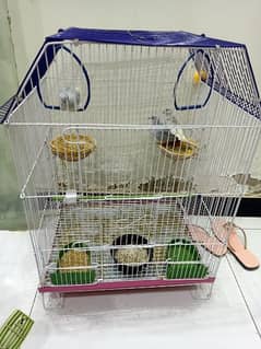 dove pair with new big cage