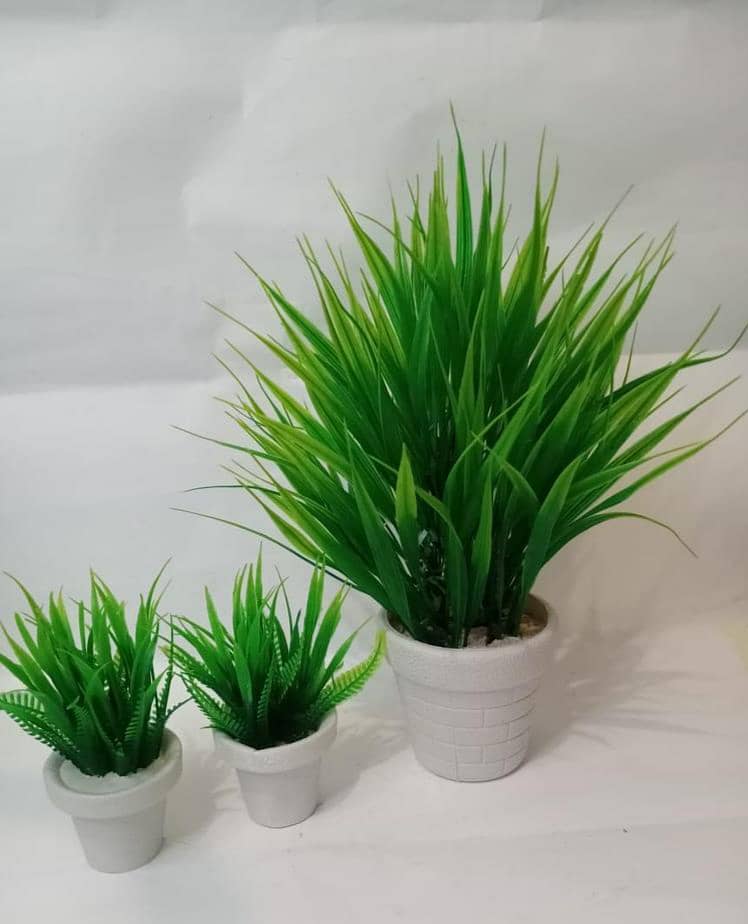 Mini indoor planters, pack of 3 1