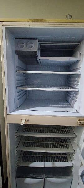 PEL full size refrigerator 1