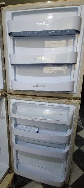 PEL full size refrigerator 2