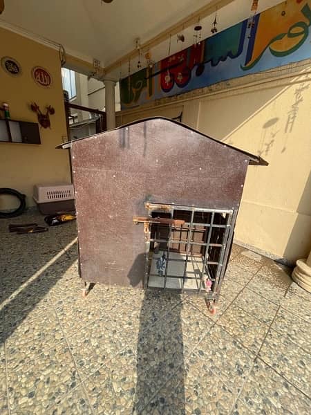 Dog House / Cage 4