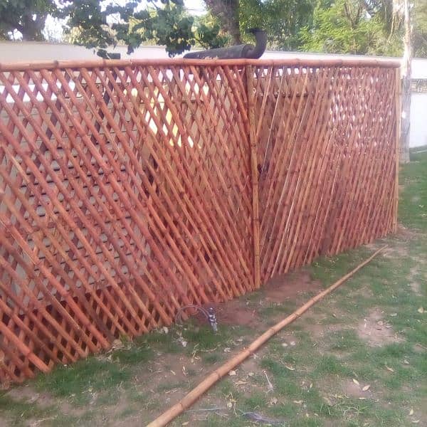 bamboo fence and partaion 6