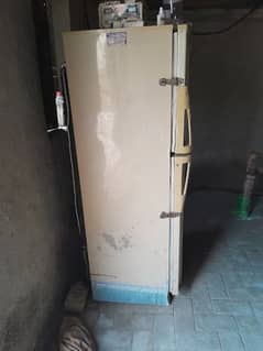 Pel Refrigerator Medium size double door