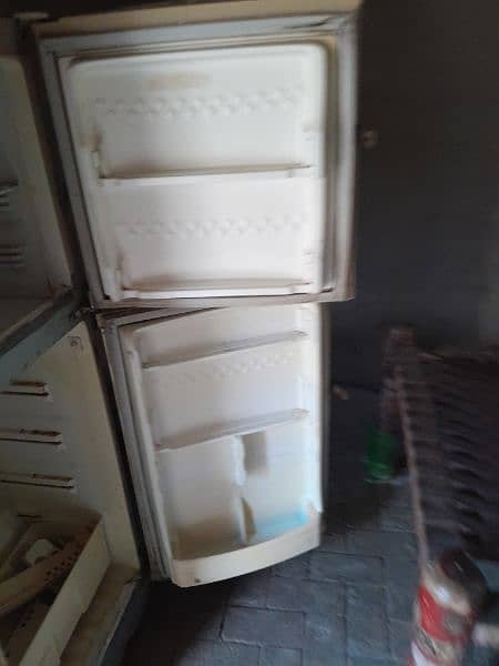 Pel Refrigerator Medium size double door 6