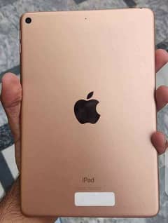 iPad mini 5 back changed