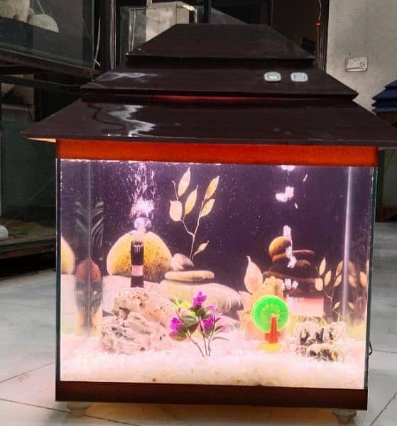 Lovely Wooden Aquarium 1