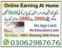 Online job at Home/Part Time/Data Entry/Typing/Assignments/Teaching 0