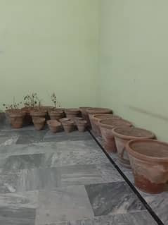 All flower pots in 3000