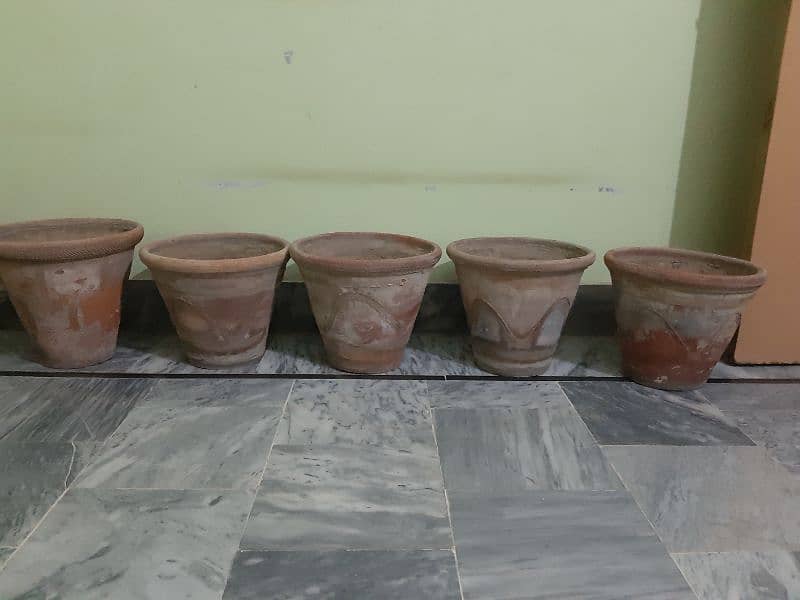 All flower pots in 3000 1