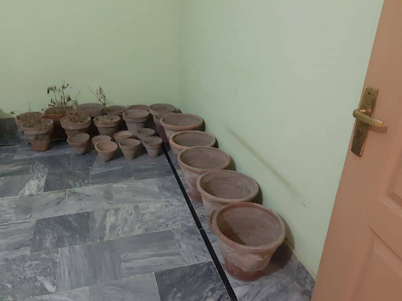 All flower pots in 3000 2