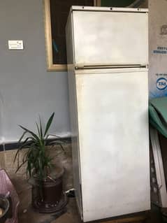 Imported fridge made in Italy reason purchased inverter refrigerator