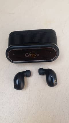 ginova earbuds