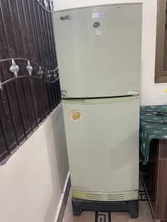 pet refrigerator used frig