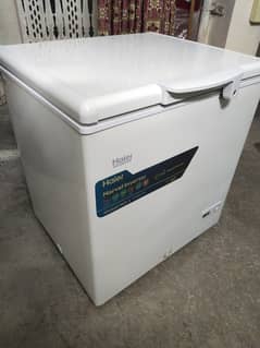 Haier Freezer