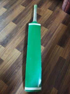 cricket bat