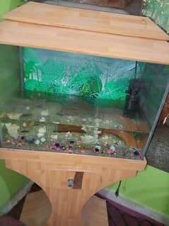 Aquarium  used for sale acorium