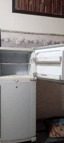 fridge bilkul perfect hai urgent sale plz serious buyer call for us 6