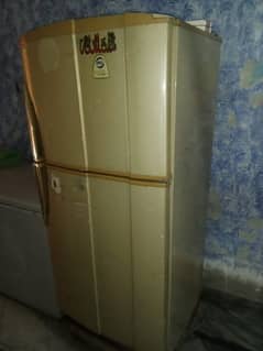 frige for sale PELL COMPNY