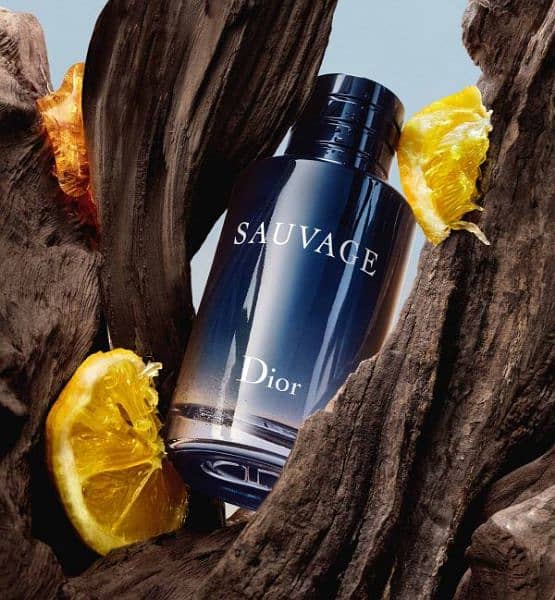 Sauvage Dior 100ml Perfume 1