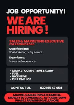 Sales & Marketing Executive