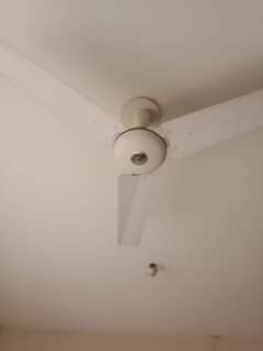 ceiling fan