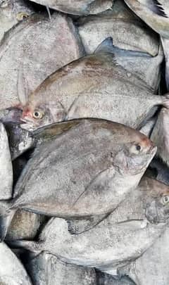 paplat fish