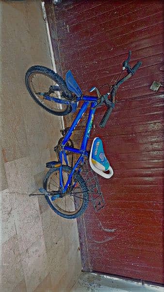 2 Cycle for sale 1