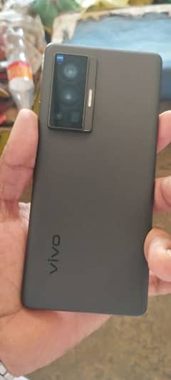 vivo