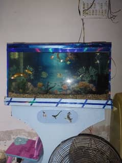 4 ft aquarium in good condition all ok