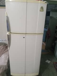 Pel refrigerator condition 10/8 all good