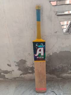 Coconut bat for sale