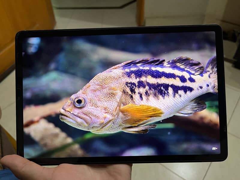 Samsung tab s6 11