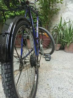 Phoenix bicycle in good condition